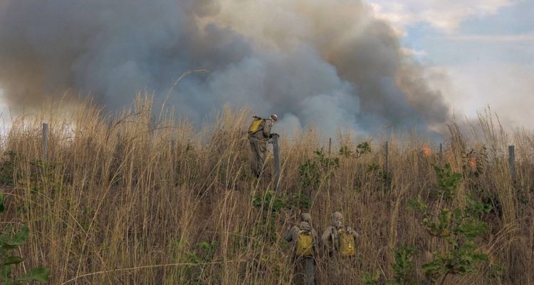 Rogerio Florentino | EFE