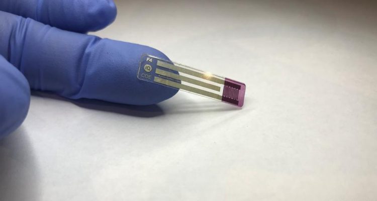 University of Newcastle, Australia