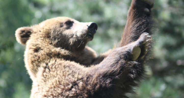 Archivo | JD Fahey (CC) Flickr