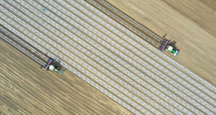 Agence France-Presse | Imagen referencial