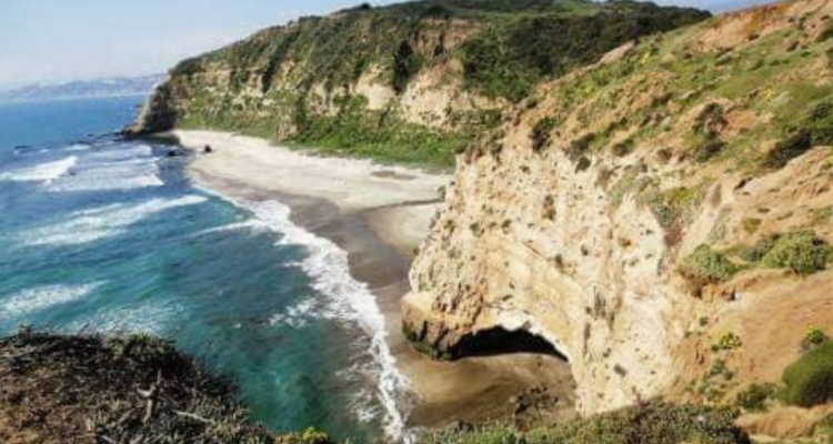 Archivo BBCL | @diego_ibanezc | Twitter