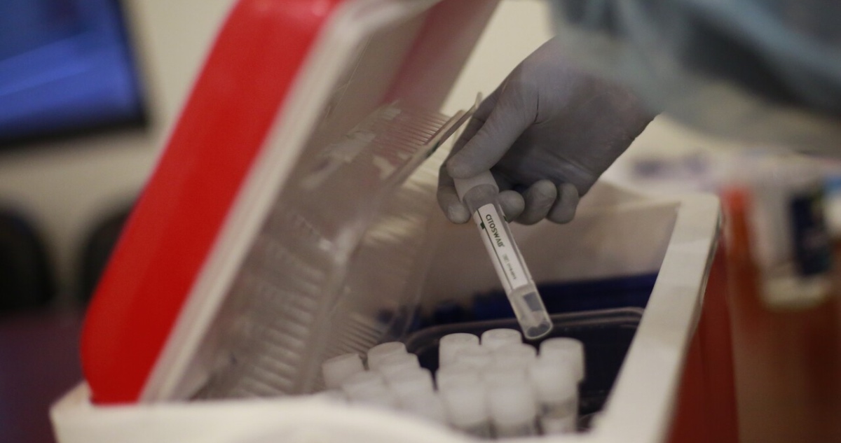 muerta PCR casos nuevos covid