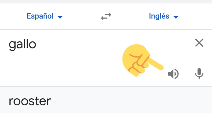 Google Translate | Twitter