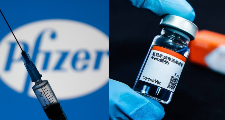 Pfizer | Sinovac