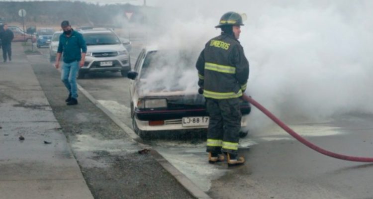 Cedida a Diario El Pingüino