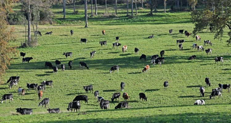 CONTEXTO | Agencia UNO