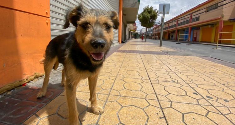 CONTEXTO | Juan Riquelme | Agencia UNO