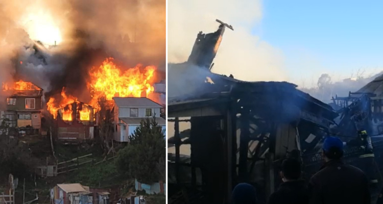 Cedidas a RBB | Edición BBCL