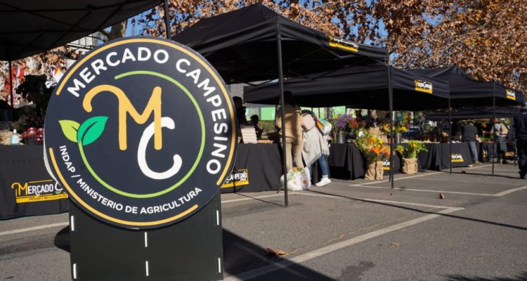 Mercado Campesino de Indap