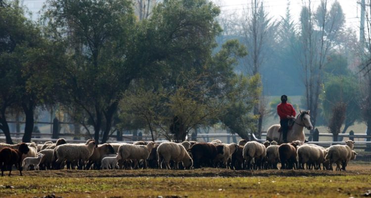 Contexto | Agencia UNO