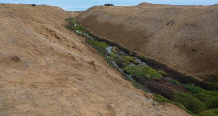 Municipalidad de Antofagasta
