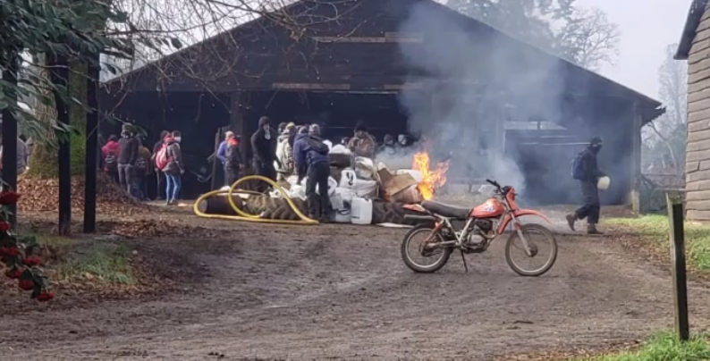 Captura de video