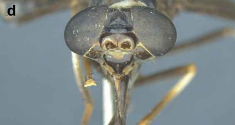 Ministerio de Medio Ambiente de Ecuador