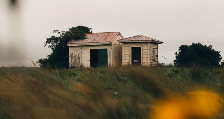 Josiah Farrow | Pexels (CCO)