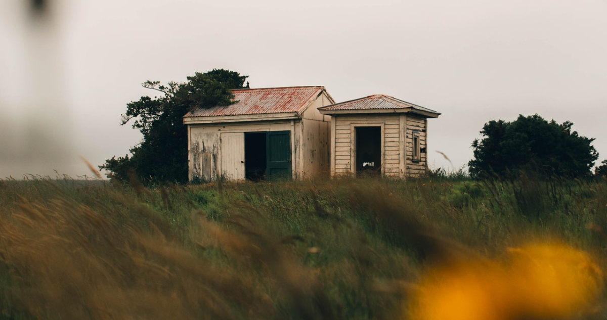 Josiah Farrow | Pexels (CCO)