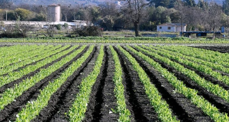 CONTEXTO | Agencia UNO