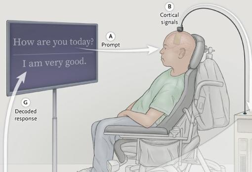 Universidad de San Francisco