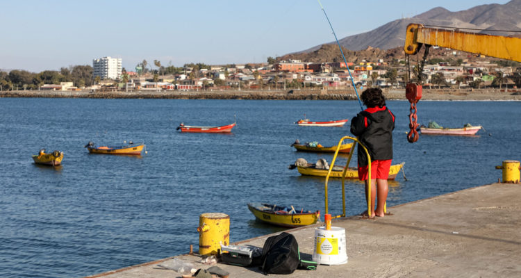 Karl Chinga Grawe | Agencia UNO