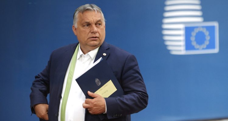 Olivier Matthys | Cedida | Agence France-Presse