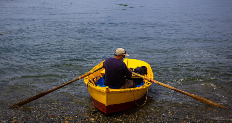 Archivo | Agencia UNO