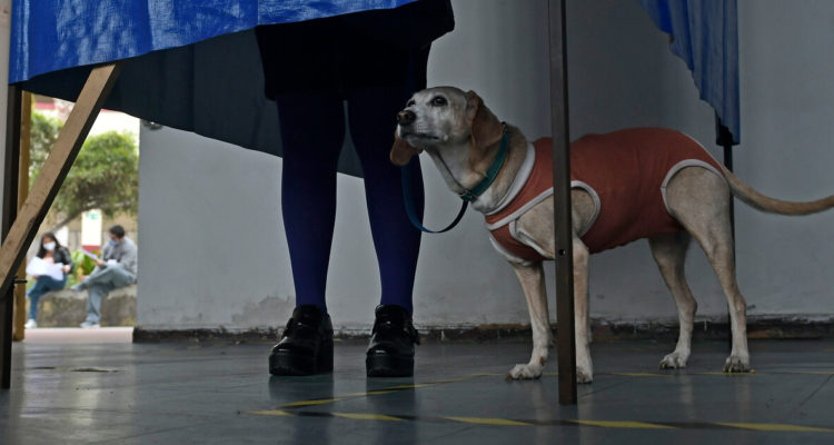 CONTEXTO | Cristian Vivero Boornes | Agencia UNO