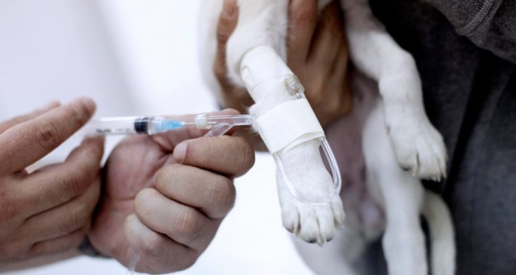 ARCHIVO | Maribel Fornerod | Agencia UNO