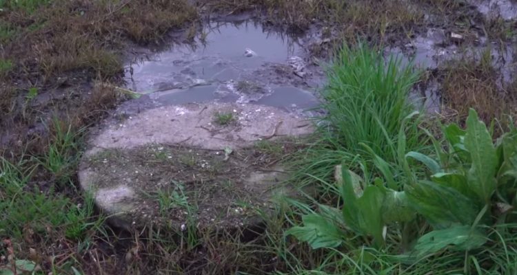 Municipalidad de Hualqui