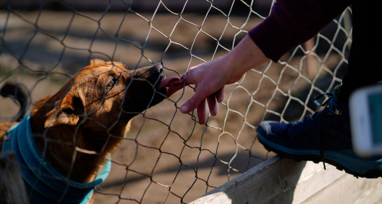 CONTEXTO | Agencia UNO