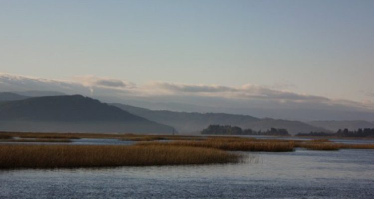 CONTEXTO | Sebacorreabarra (cc)