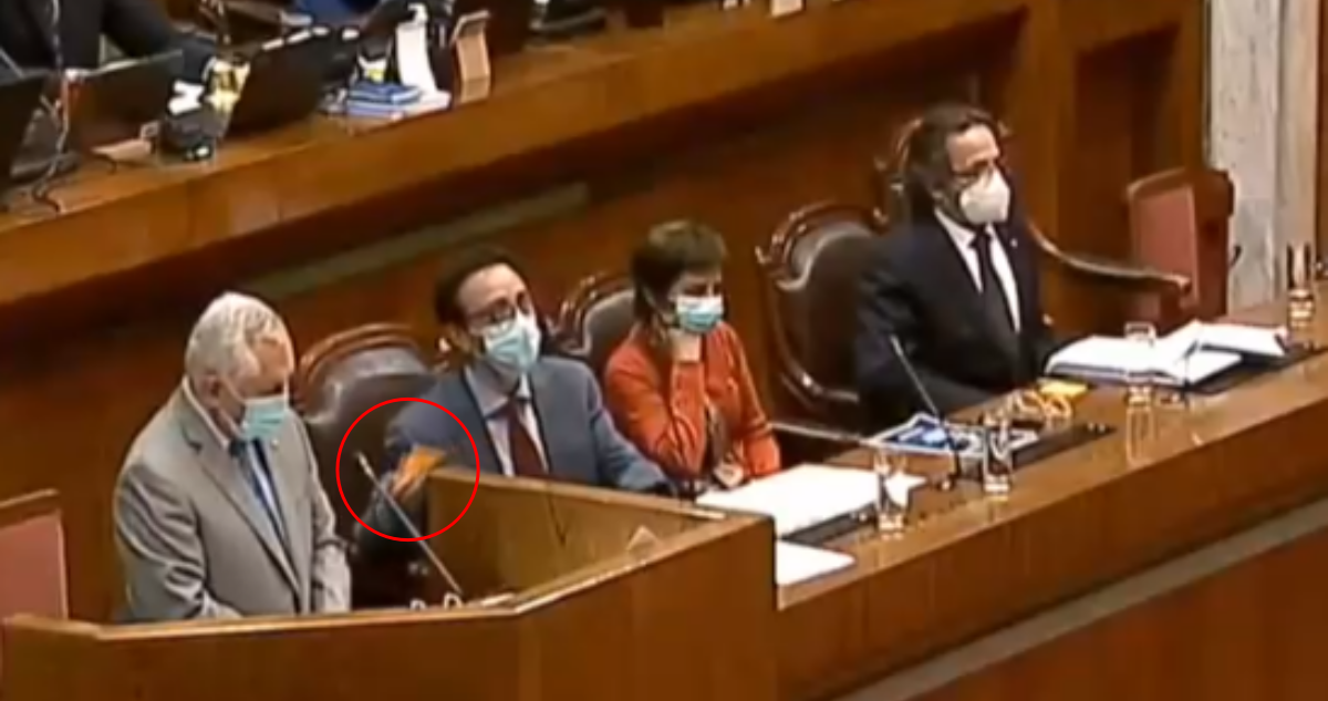 Captura | Cámara de Diputadas y Diputados