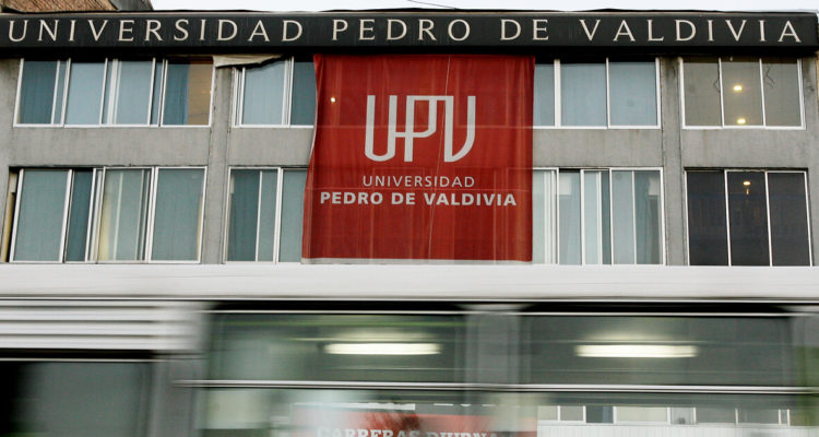 David Cortés Serey | Agencia UNO