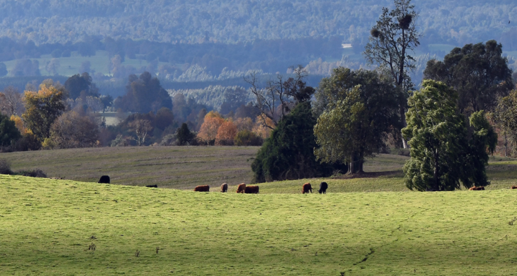 CONTEXTO | Agencia UNO