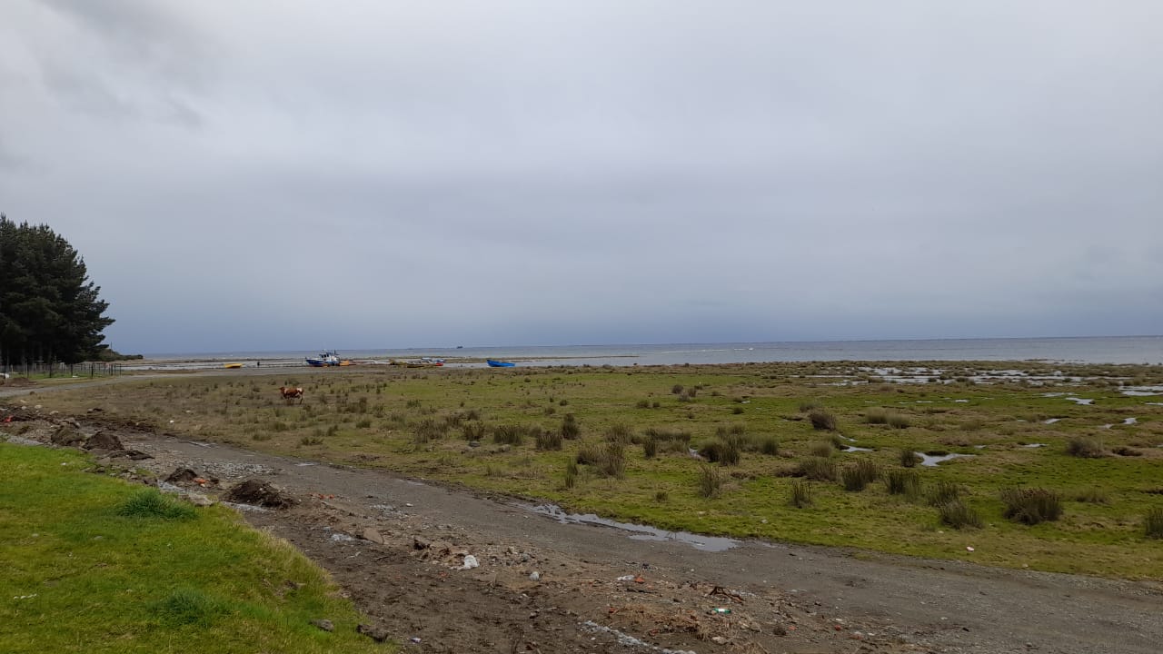 Robinson Cardenas | RBB Puerto Montt