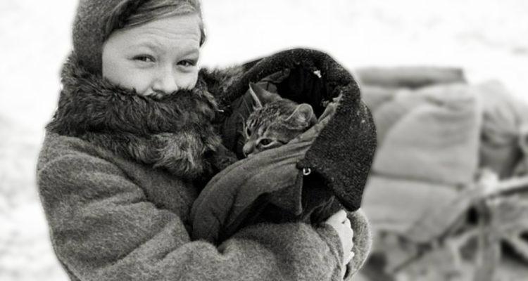 screenrant.com / San Petersburgo museum