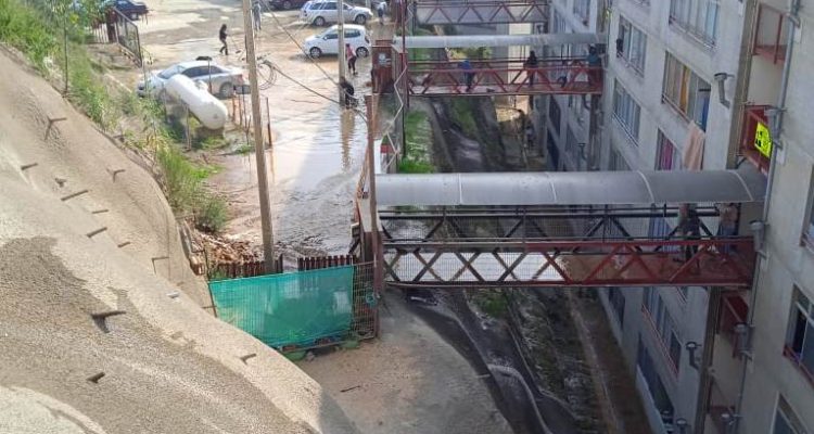 José Miguel Gutiérrez | RBB