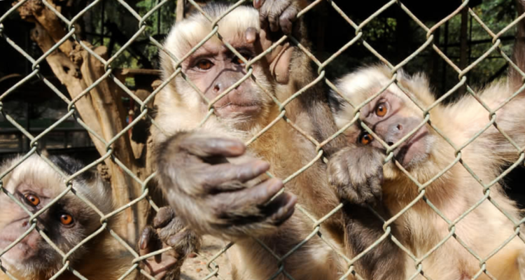 Archivo | Agencia UNO