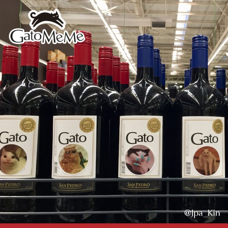 vino-gato-con-memes-de-gato