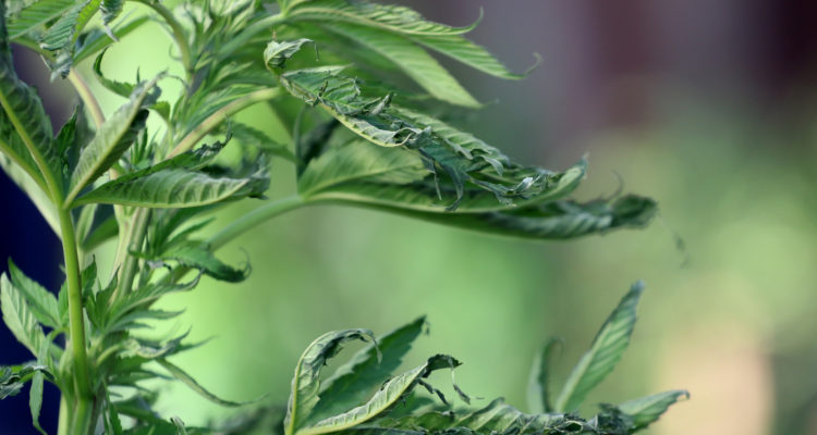 CONTEXTO | Agencia UNO 