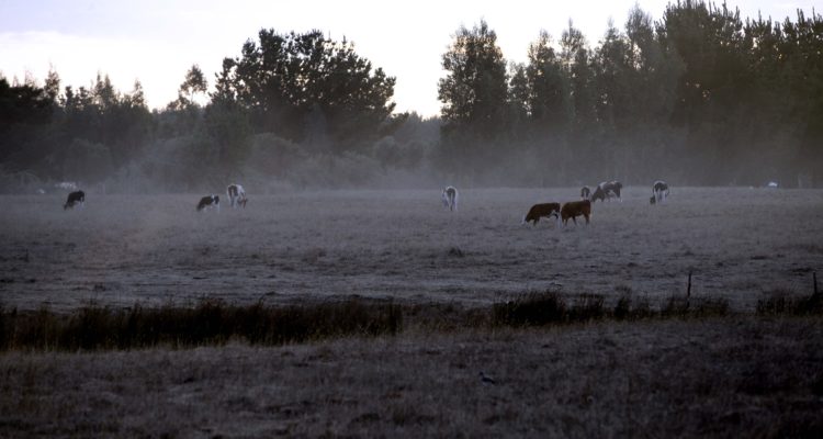 ARCHIVO | Agencia UNO