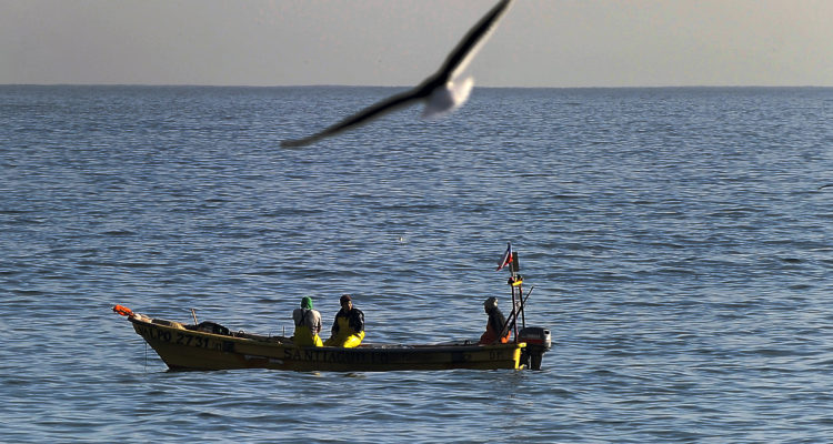 CONTEXTO | Pablo Ovalle | Agencia UNO