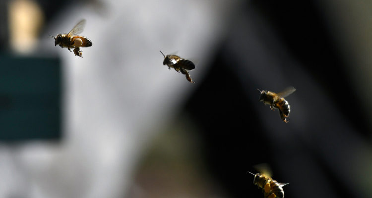 CONTEXTO | Agencia UNO