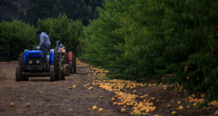 CONTEXTO | Agencia UNO
