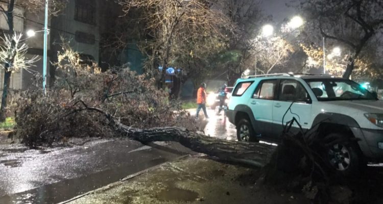 Sofía Carrizo | RBB