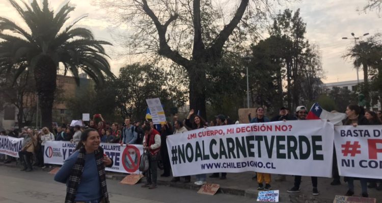 Sofía Carrizo | RBB