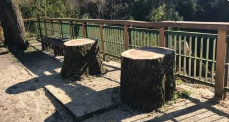 @marceloptovaras | Twitter