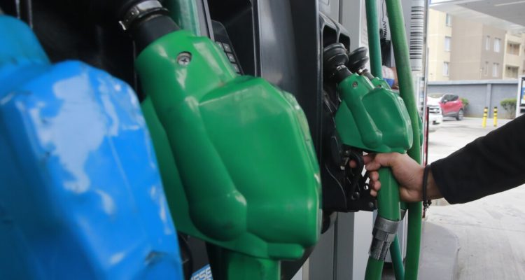 Karin Pozo | Agencia UNO