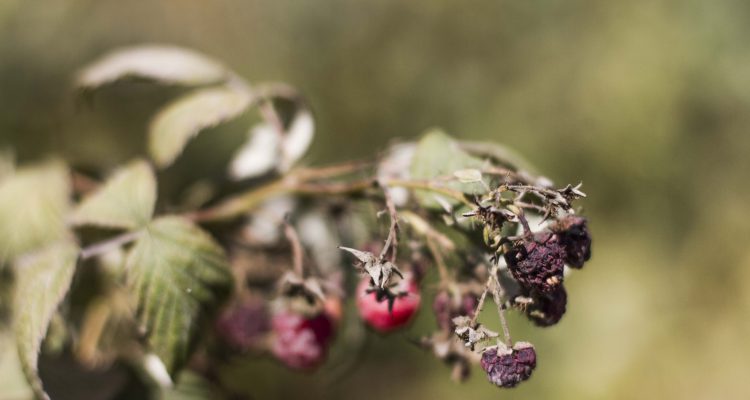 Contexto | Agencia UNO