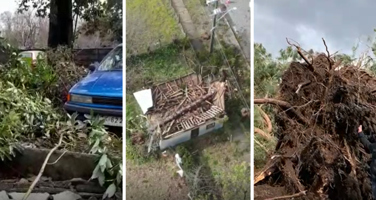 Capturas de videos | Edición BBCL