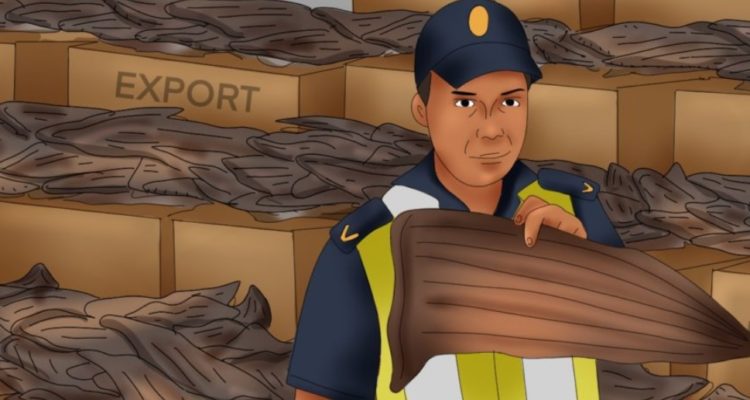 Pelayo Salinas de León