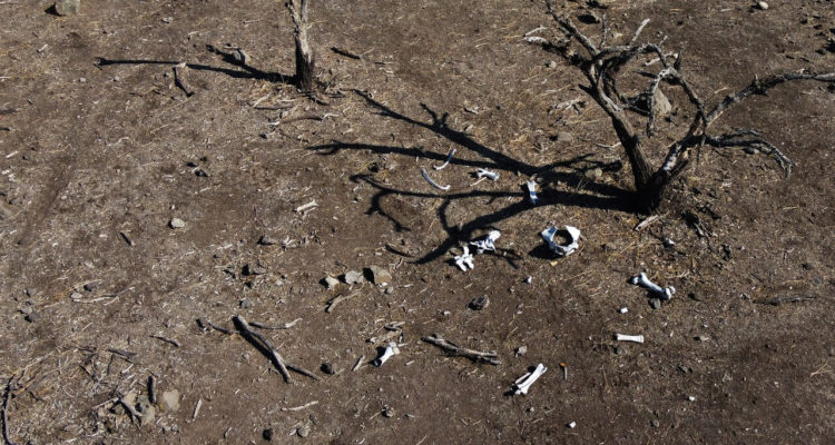 ARCHIVO | Karin Pozo | Agencia UNO